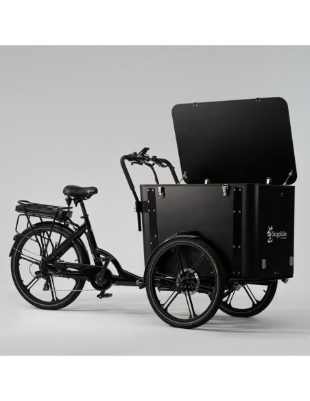 Elektrinis dviratis CARGOBIKE of SWEDEN Flex Box