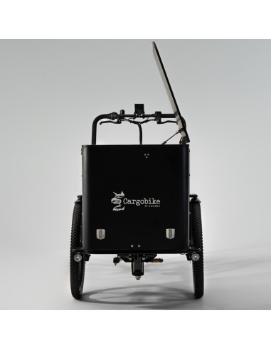 Elektrinis dviratis CARGOBIKE of SWEDEN Flex Box