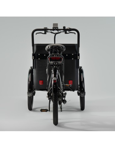 Elektrinis dviratis CARGOBIKE of SWEDEN Flex Box