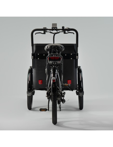 Elektrinis dviratis CARGOBIKE of SWEDEN Flex Box