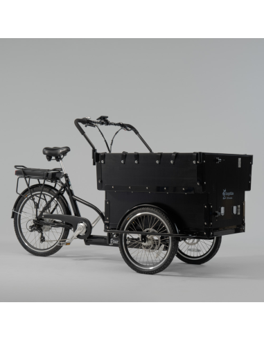 Elektrinis krovininis dviratis CARGOBIKE of SWEDEN Klasikinis darželis