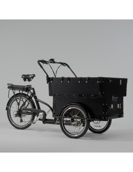 Elektrinis krovininis dviratis CARGOBIKE of SWEDEN Klasikinis darželis