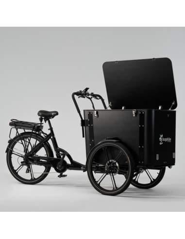 Elektrinis dviratis CARGOBIKE of SWEDEN Flex Box
