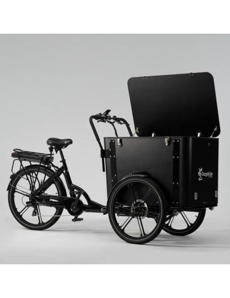 Elektrinis dviratis CARGOBIKE of SWEDEN Flex Box