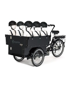Elektrinis krovininis dviratis CARGOBIKE of SWEDEN Klasikinis darželis 2