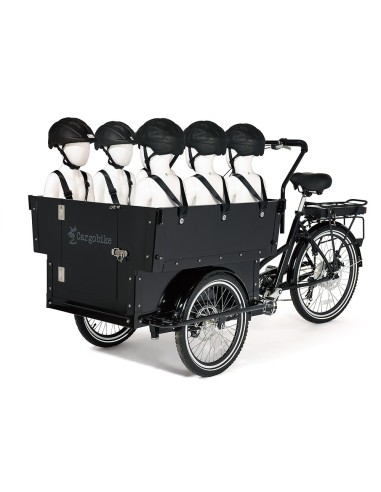 Elektrinis krovininis dviratis CARGOBIKE of SWEDEN Klasikinis darželis