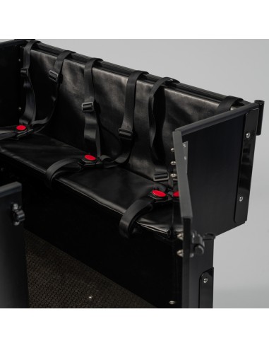 Elektrinis krovininis dviratis CARGOBIKE of SWEDEN Klasikinis darželis