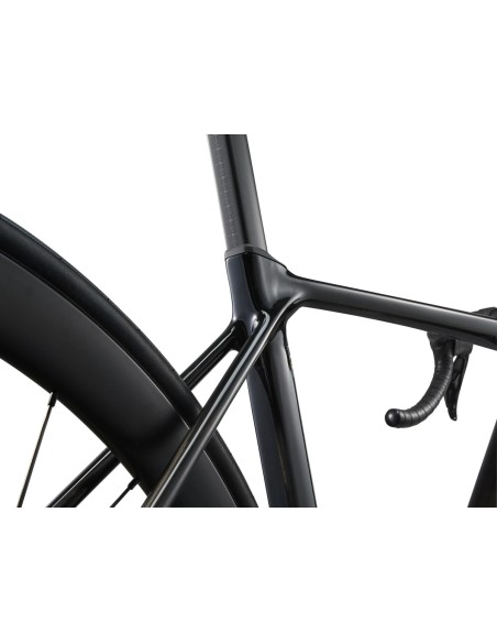 Plento dviratis GIANT TCR Advanced Pro 1-Di2, anglies pluošto (XL)