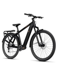 Elektrinis dviratis TENWAYS AGO X, 29" Midnight Black (M) 2