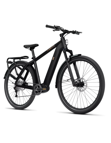 Elektrinis dviratis TENWAYS AGO X, 29" Midnight Black (M)