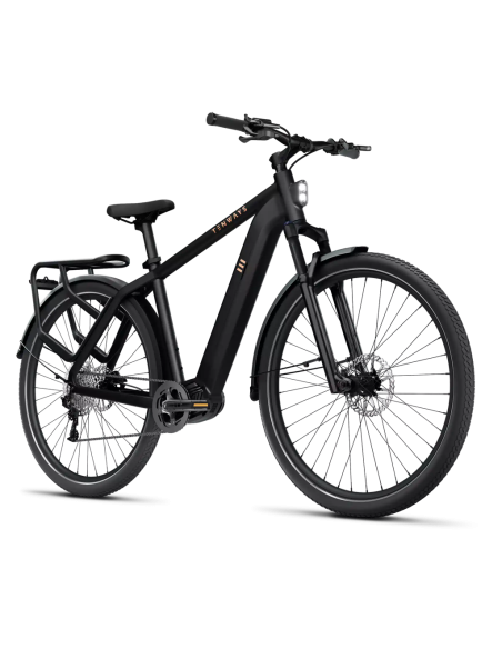 Elektrinis dviratis TENWAYS AGO X, 29" Midnight Black (M)