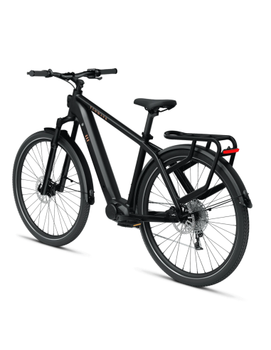 Elektrinis dviratis TENWAYS AGO X, 29" Midnight Black (M)