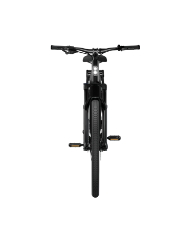 Elektrinis dviratis TENWAYS AGO X, 29" Midnight Black (M)