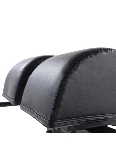 Trainingpink Tunturi GH10 Glute Ham Developer