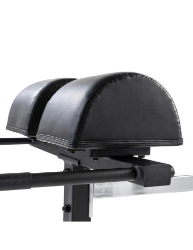 Trainingpink Tunturi GH10 Glute Ham Developer