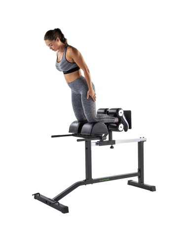 Trainingpink Tunturi GH10 Glute Ham Developer
