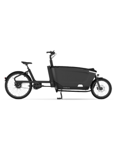 Elektrinis krovininis dviratis TENWAYS Cargo One