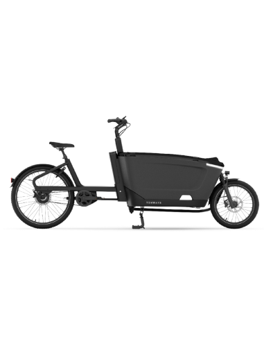 Elektrinis krovininis dviratis TENWAYS Cargo One