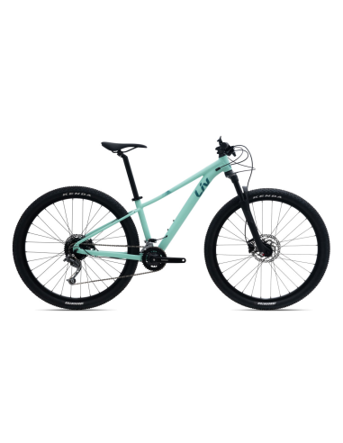 Moteriškas dviratis LIV Tempt 29 2 GE 29" Ocean Wave (M)