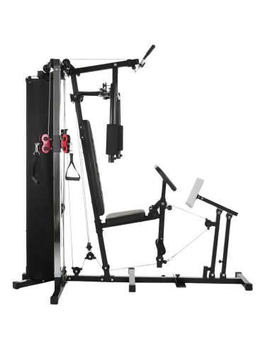 Gym HAMMER Multi-gym Ferrum TX3