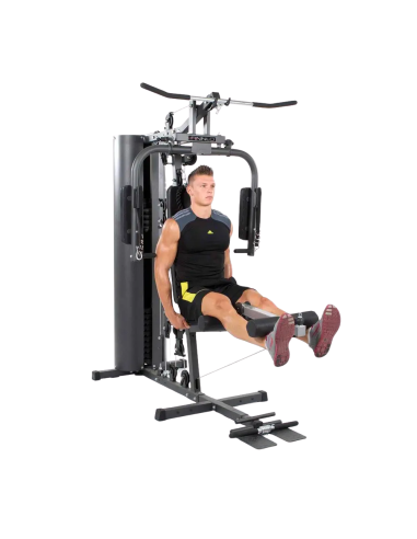 Jõujaam FINNLO by Hammer Multi-gym Autark 600