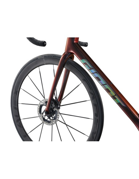 Plento dviratis GIANT TCR Advanced SL 0 DA, juodas-mėlynas (M/L)