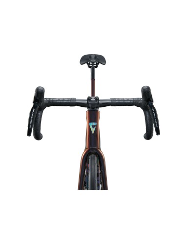 Plento dviratis GIANT TCR Advanced SL 0 DA, juodas-mėlynas (M/L)