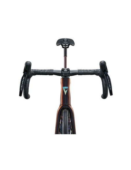 Plento dviratis GIANT TCR Advanced SL 0 DA, juodas-mėlynas (M/L)