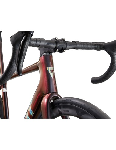 Plento dviratis GIANT TCR Advanced SL 0 DA, juodas-mėlynas (M/L)