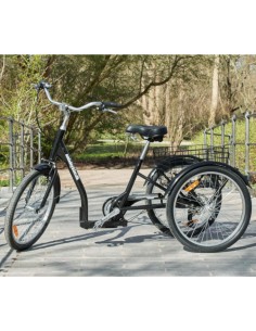 Triratis dviratis AMLAD BIKES