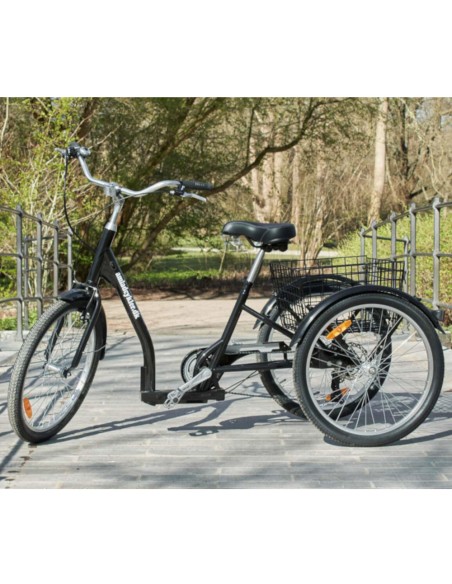 Triratis dviratis AMLAD BIKES