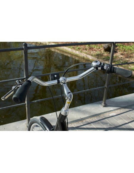 Triratis dviratis AMLAD BIKES