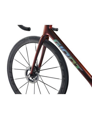 Plento dviratis GIANT TCR Advanced SL 0 DA, juodas-mėlynas (L)