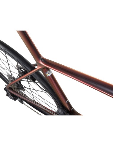 Plento dviratis GIANT TCR Advanced SL 0 DA, juodas-mėlynas (L)
