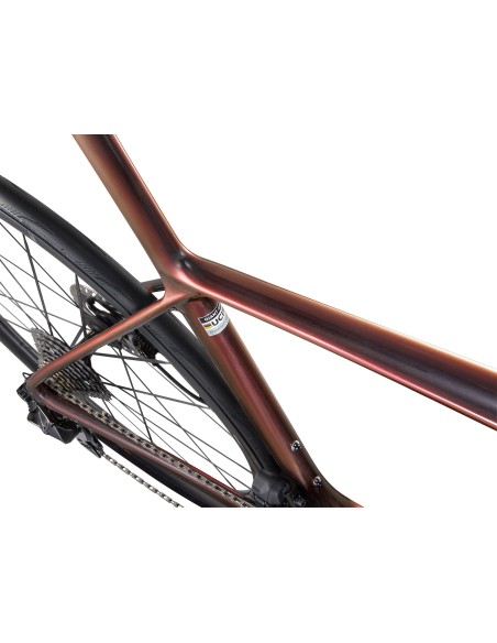 Plento dviratis GIANT TCR Advanced SL 0 DA, juodas-mėlynas (L)