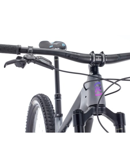 Kalnų dviratis KONA Process 134 CR/DL G3, 29" matinės metalinės anglies spalvos (violetinė) (XL)