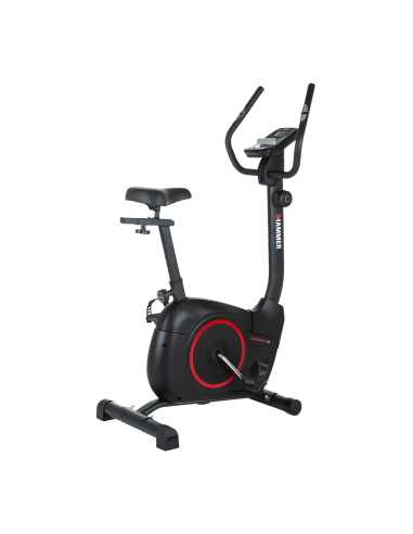 Dviratis treniruoklis HAMMER Cardio T3