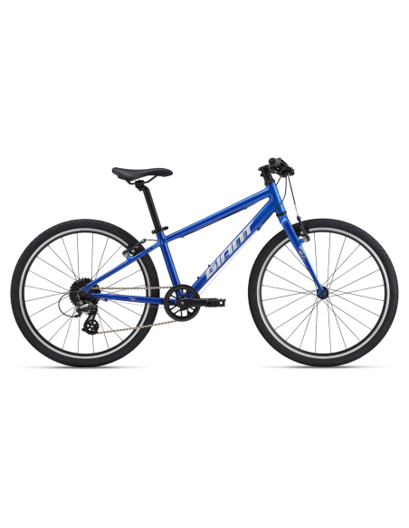 Ultralengvas vaikiškas dviratis GIANT ARX 24, kobalto spalvos