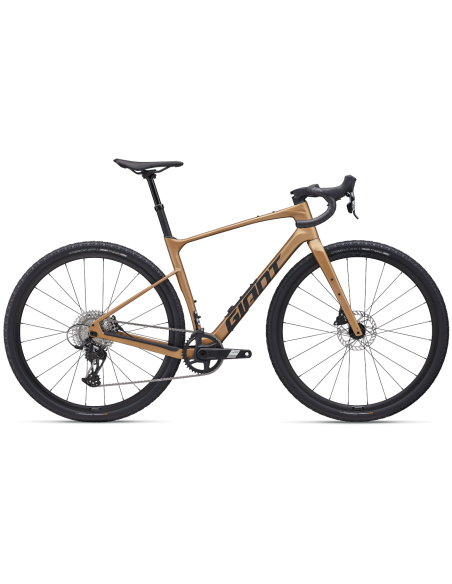 Žvyrkelis GIANT Revolt Advanced 1 (2025) Steampunk (S)