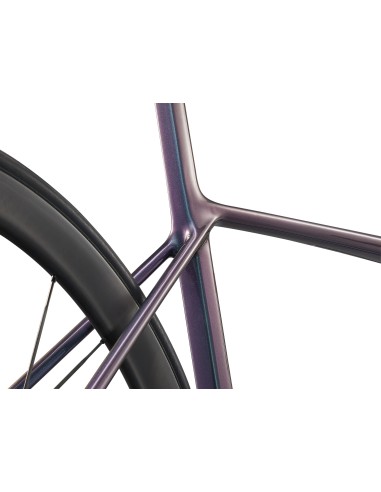Plento dviratis GIANT TCR Advanced SL 1, mėlynas laumžirgis (L)