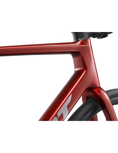 Plento dviratis GIANT TCR Advanced 1 vnt., Mars Dust (L)
