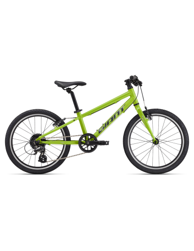 Ultralengvas vaikiškas dviratis GIANT ARX 20, Lime Punch