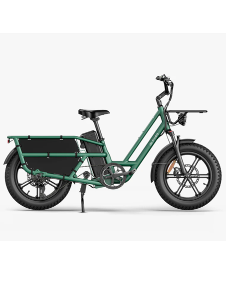 Elektrinis krovininis dviratis FIIDO T2 Longtail Cargo, miško žalias