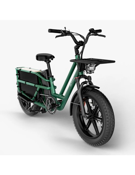Elektrinis krovininis dviratis FIIDO T2 Longtail Cargo, miško žalias
