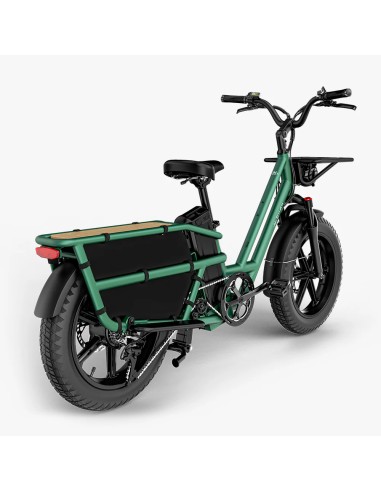 Elektrinis krovininis dviratis FIIDO T2 Longtail Cargo, miško žalias