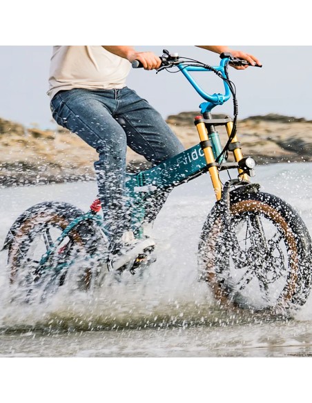 Sulankstomas elektrinis dviratis FIIDO M1 Pro, žalias