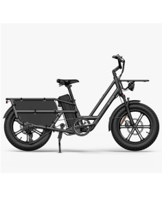 Elektrinis krovininis dviratis FIIDO T2 Longtail Cargo, pilkas
