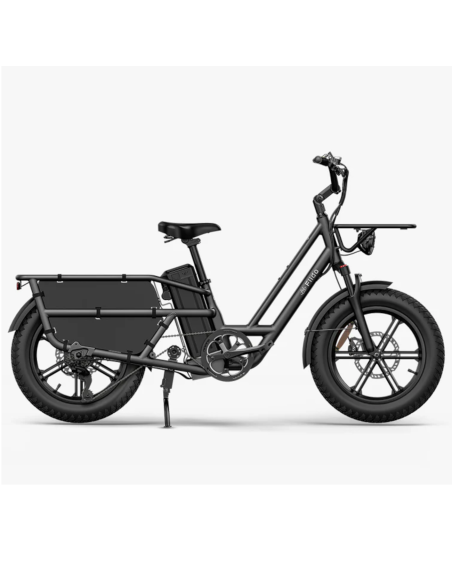 Elektrinis krovininis dviratis FIIDO T2 Longtail Cargo, pilkas