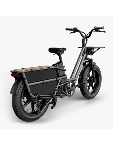 Elektrinis krovininis dviratis FIIDO T2 Longtail Cargo, pilkas