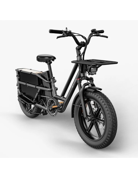 Elektrinis krovininis dviratis FIIDO T2 Longtail Cargo, pilkas